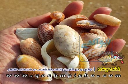  قشم پیشه| بزرگترین راهنمای خرید و فروش و کسب و کارهای قشم