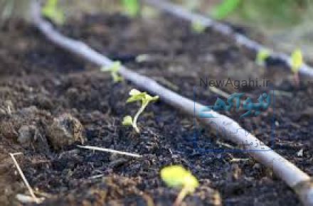آبیاری تحت فشار قطره ای و بارانی