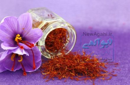 کاشت زعفران در مزرعه و خانه شغلی با درآمد عالی و تضمین شده
