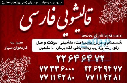 قالیشویی در محدوده مینی سیتی