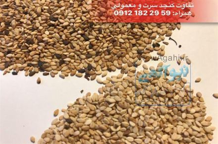 فروش انواع کنجد (پاکستانی، افغانی،هندی) آذرین