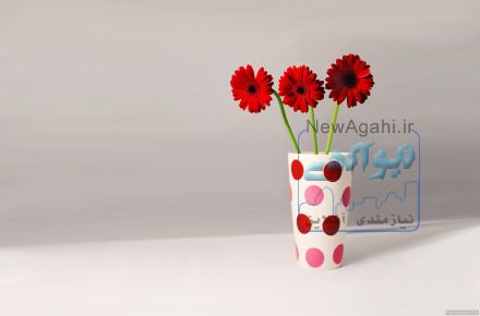 دکتر پروانه صفایی مقدم