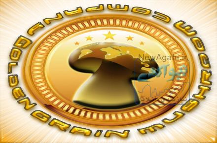 فروش جزوه آموزش پرورش انواع قارچ های خوراکی و خدمات دیگر