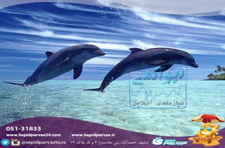 تور قشم از مشهد. آژانس سپیدپرواز