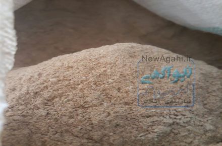 سبوس دامی