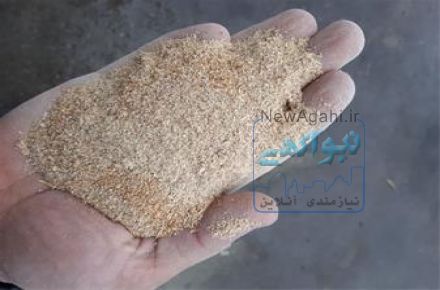 سبوس دامی