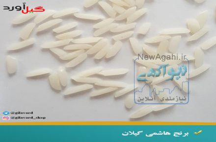 فروش برنج شمال