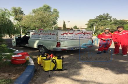 سمپاشی سوسک ریز ودرشت