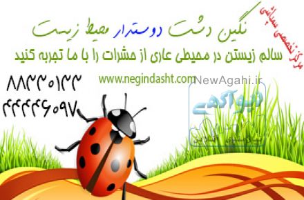 سمپاشی انواع حشرات به صورت تضمینی