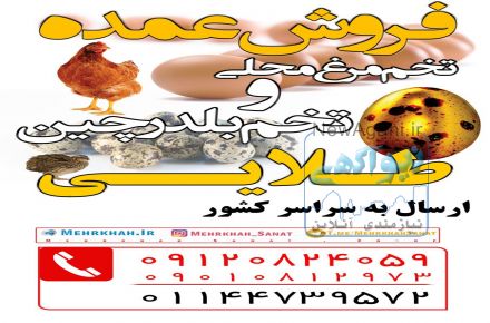 شرکت تعاونی مهر خواه صنعت
