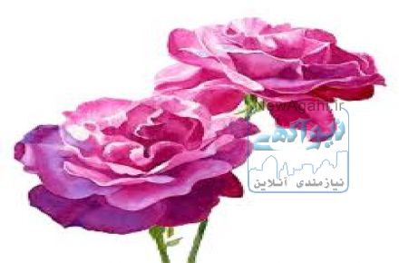  اسانس  ,و گلاب گل محمدی 