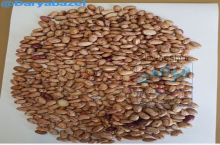 عرضه مستقیم حبوبات