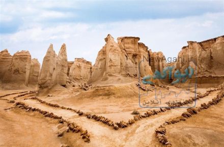 تور قشم و هنگام تا هرمز|17 بهمن - ماهبان تور