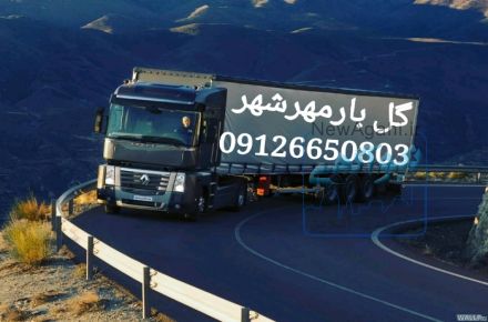 گل بار بامجوزرسمی