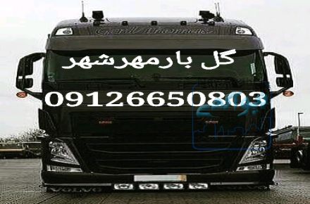 گل بار بامجوزرسمی