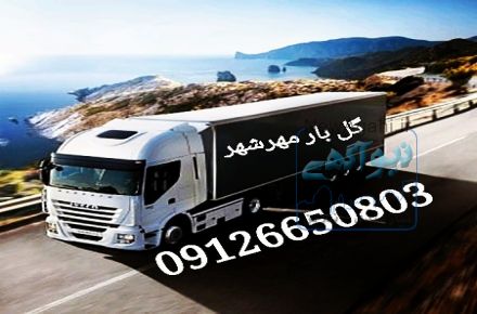 گل بار بامجوزرسمی