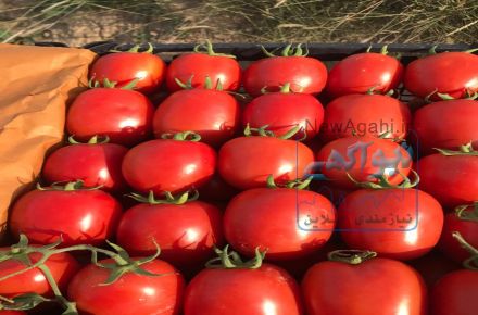 فروش محصولات کشاورزی