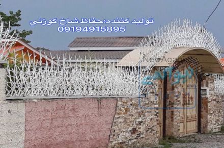 توليد حفاظ شاخ گوزني