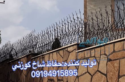 توليد حفاظ شاخ گوزني