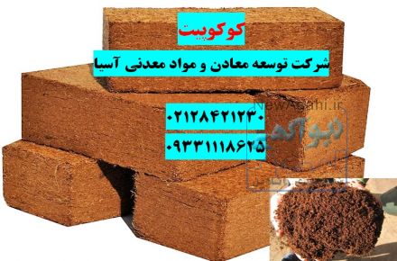 فروش کوکوپیت