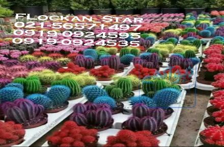 دستگاه مخمل پاش الکتروسیس ترکیه