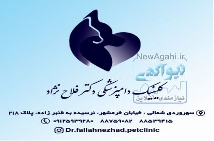کلینیک دامپزشکی پزشکی دکتر فلاح نژاد 