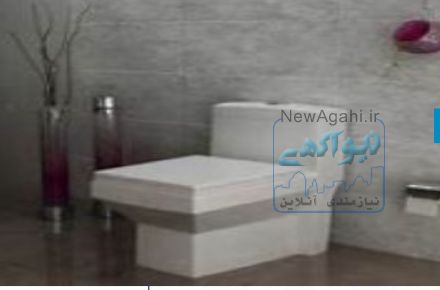 توالت فرنگی بیده