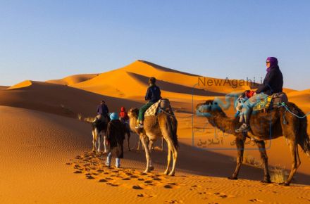 تور لوکس کویر مصر 