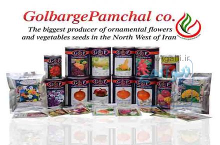 بذر انواع گل های زینتی، سبزیجات و صیفی جات