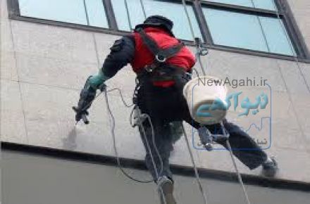 گروه نمای پاک مایانا