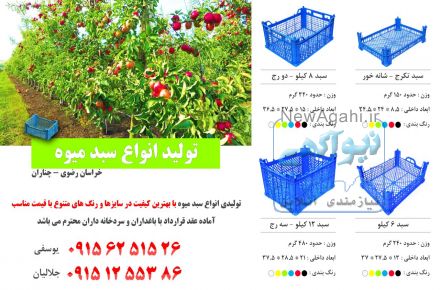تولید انواع سبد میوه