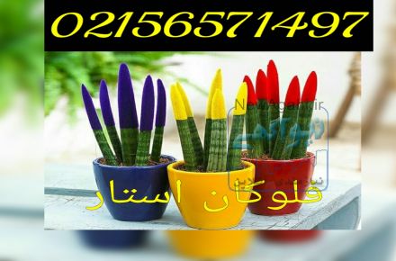 مخمل پاش /دستگاه مخمل پاش02156571497