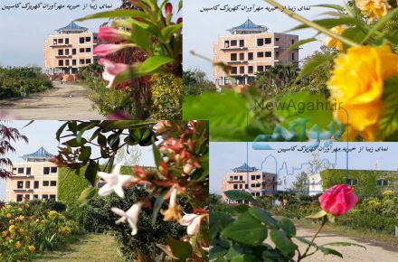 کارگر ساده 