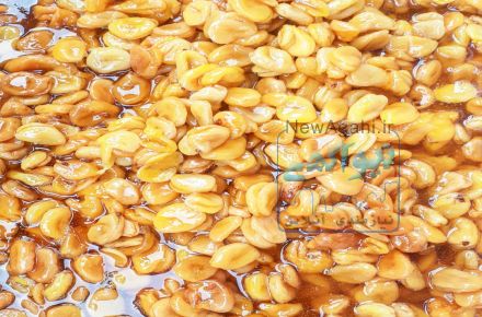 عرضه عمده انواع ترشک ترش ملس لواشک و انواع رب میوه