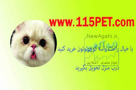 پت شاپ