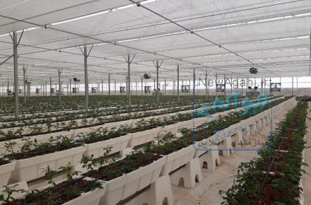 فروش گلدان یک متری ای پی اس گلخانه ای ارزان قیمت