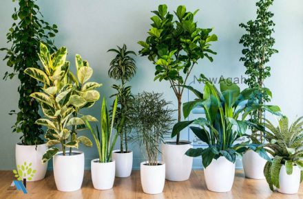 طراحی و پیاده سازی انواع فضاهای سبز آپارتمانی