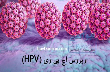 کلینیک اچ پی وی مرکز درمان تخصصی زگیل تناسلی 