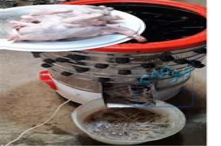 دستگاه مرغ پرکنی ، پرکن مرغ ، پر کن بلدرچین بوقلمو