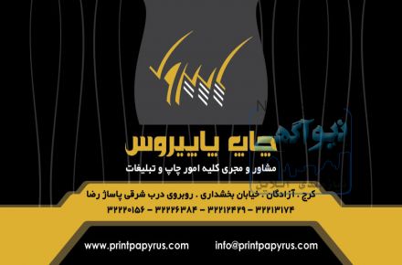 شرکت نگاره طرح پاپیروس ایرانیان - صالحی
