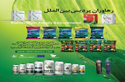 رهاوران پردیس بین الملل