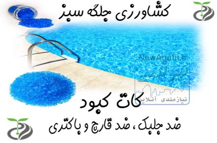 فروش کات کبود