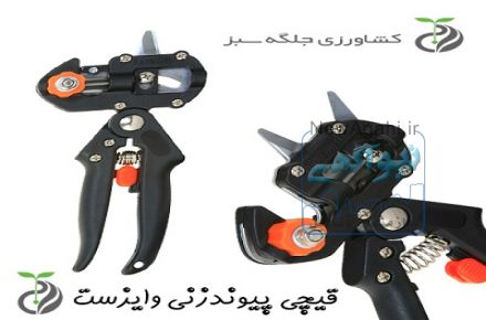 قیچی پیوندزنی تایوان وایزست
