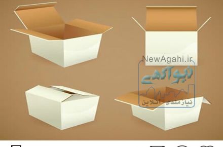 کارتن سازی