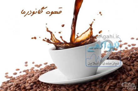 نمایندگی قارچ و قهوه گانودرما 