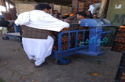 تولید انواع باسکول سبک و سنگین  دیجیتال و جاده ای  و فرقون باسکول دار 