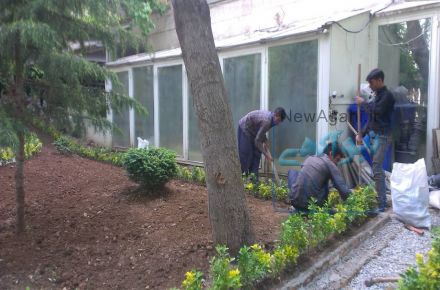 "خدمات باغبانی" تخصص ماست