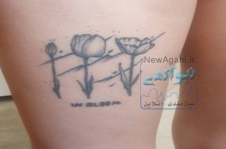 اموزش پکیج کامل تتو صورت  و بدن. تا پایان ماه محرم فقط 2.500.000 تومن(بانوان)