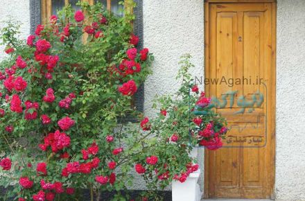 چطوری از دزدی در خانه جدید جلوگیری کنیم