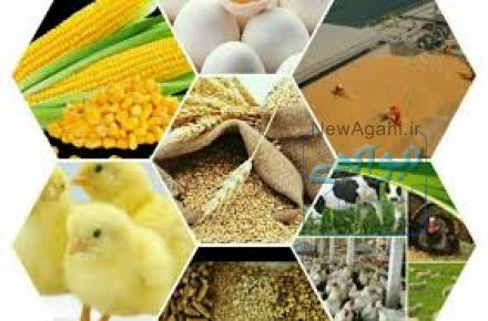 فروش کلیه محصولات دامی 